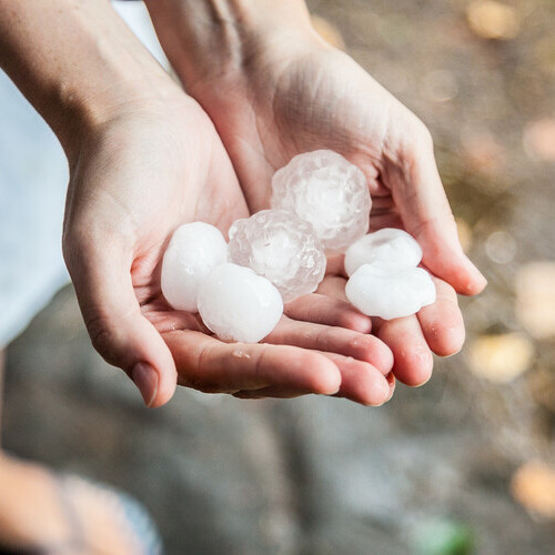 a handful of large hailstones