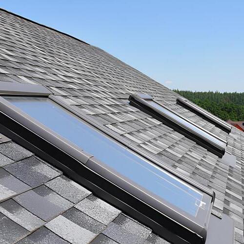 skylights along a shingle roof